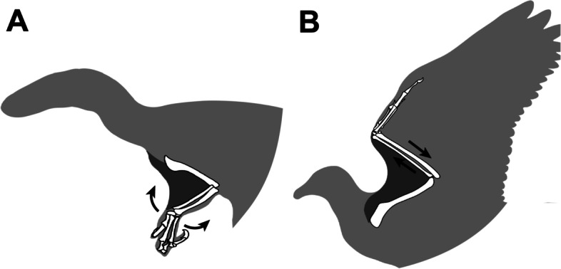 Fig. 5