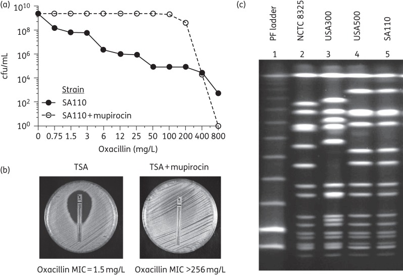 Figure 2.