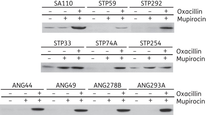 Figure 3.