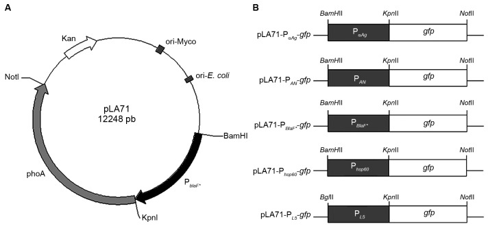 Fig. 1: