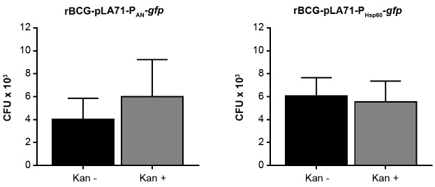 Fig. 6: