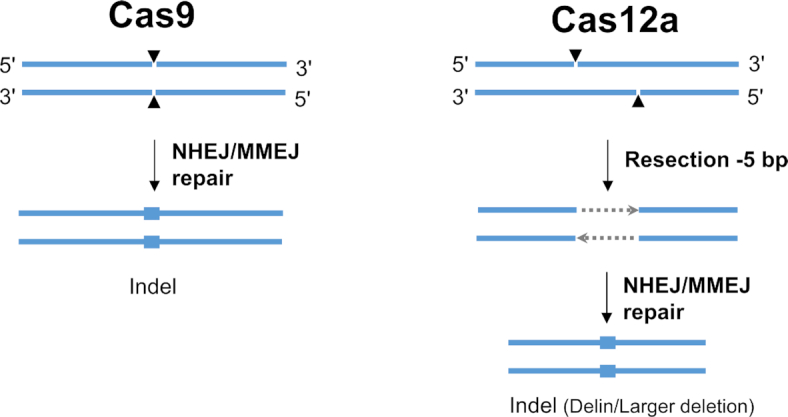 Figure 9.