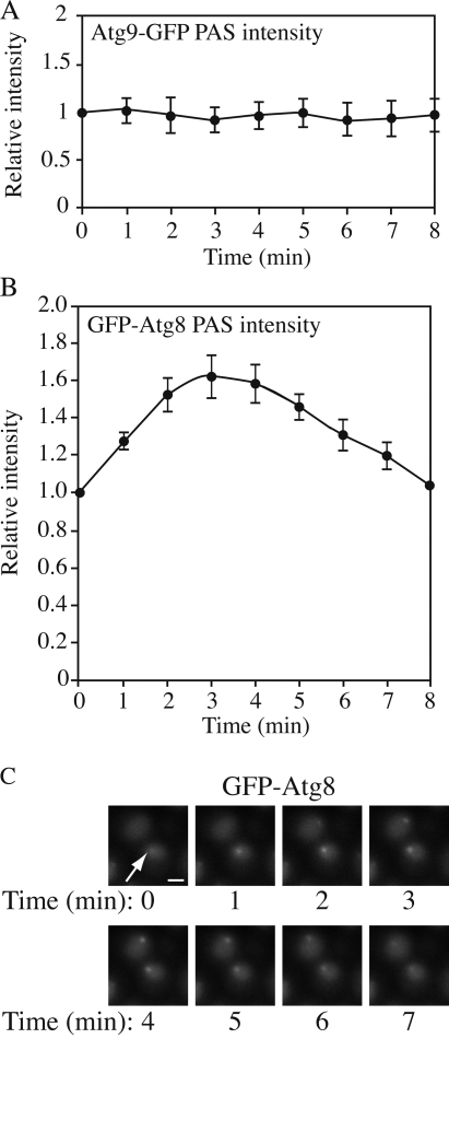 Figure 7.