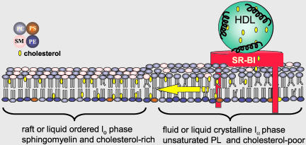 Figure 11.