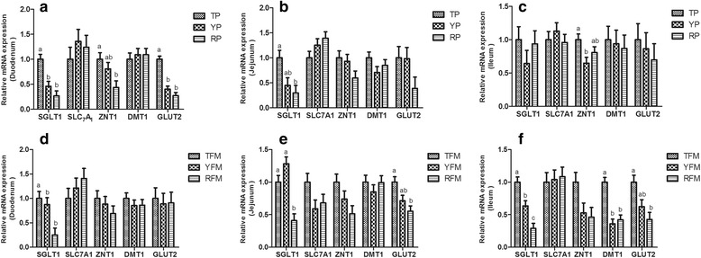 Fig. 6