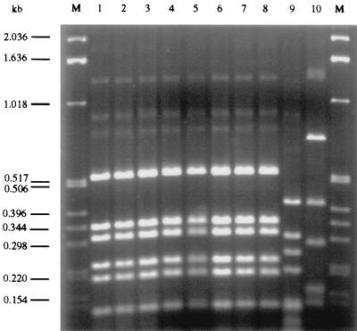 FIG. 1