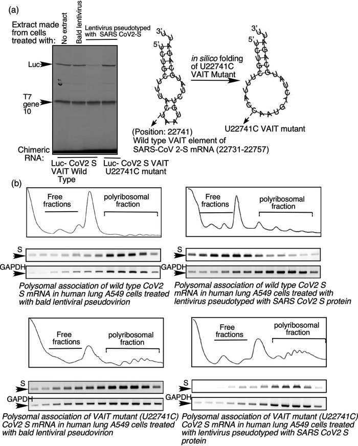 FIG 9