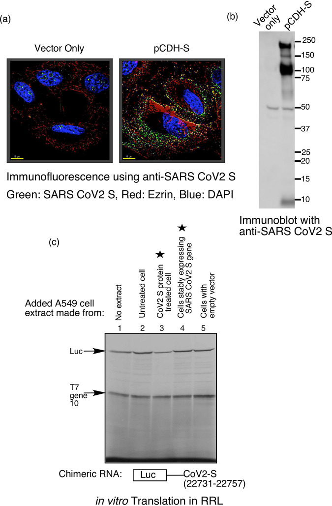 FIG 6