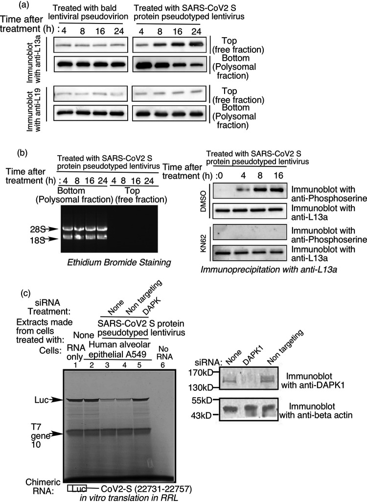 FIG 8