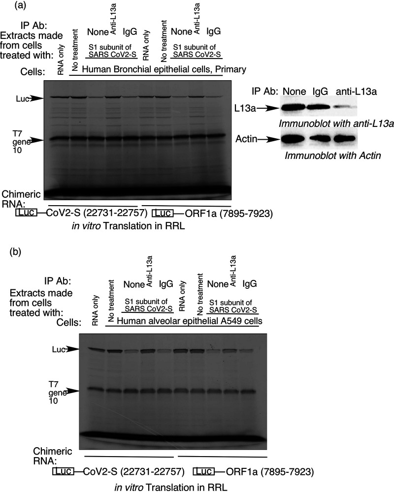 FIG 4