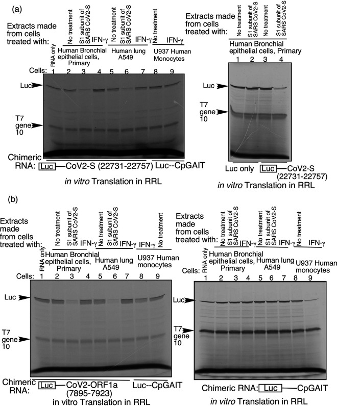 FIG 2