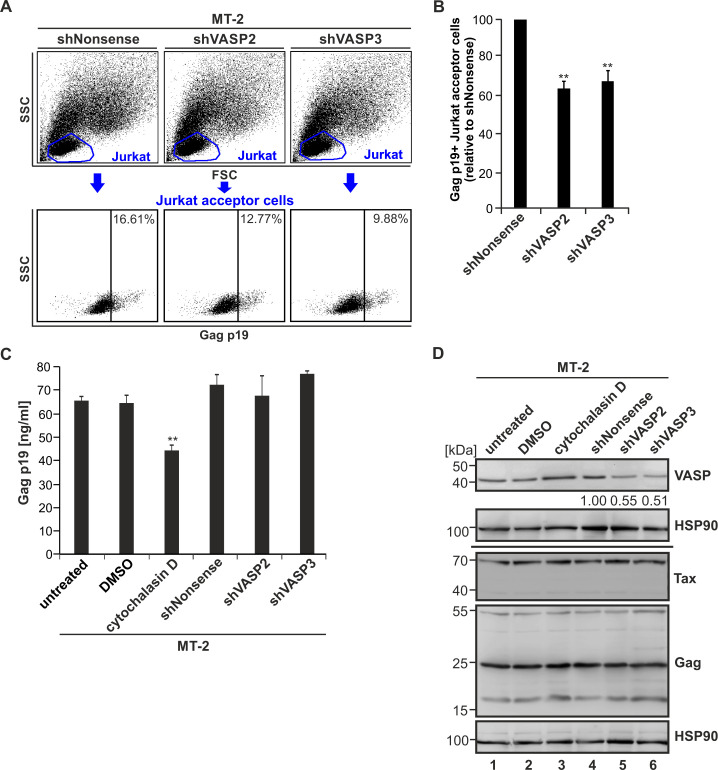 Fig 10