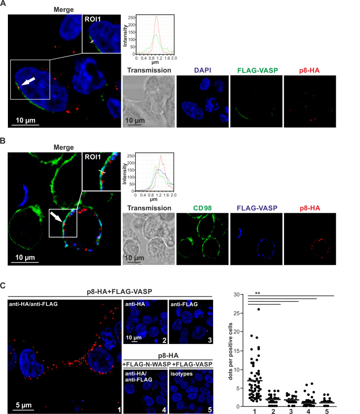 Fig 4