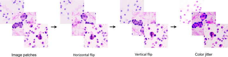 Fig. 3