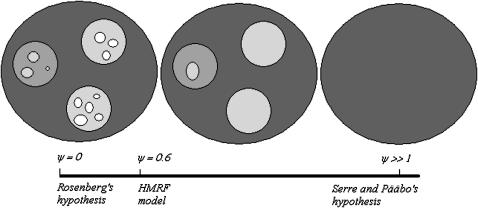 Figure 5.—