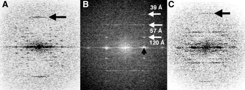 FIGURE 7.