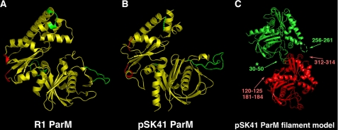 FIGURE 3.