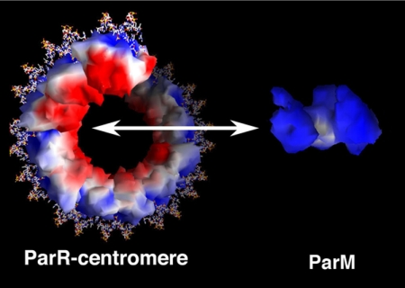 FIGURE 11.