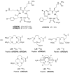 Figure 65