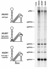 FIG. 10.