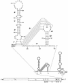 FIG. 1.