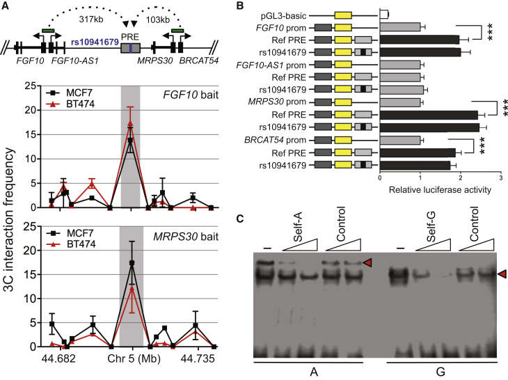 Figure 3