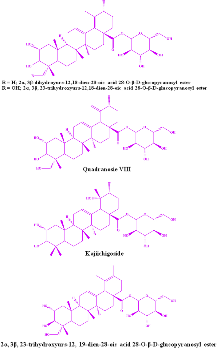 Fig. 2