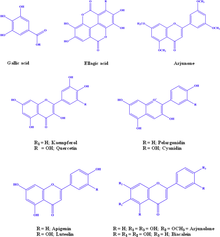 Fig. 3