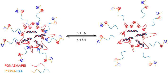 Fig. 10