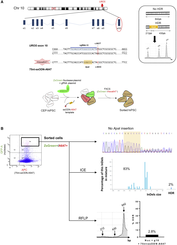 Figure 2