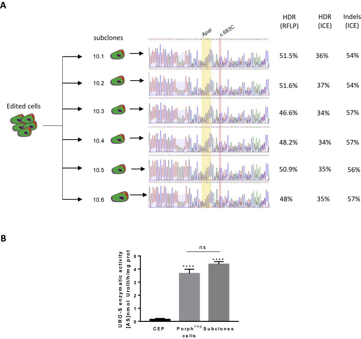 Figure 4