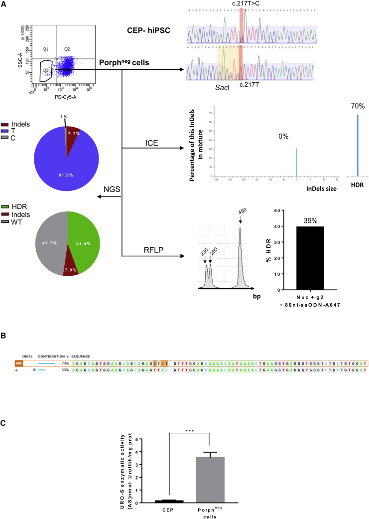 Figure 6