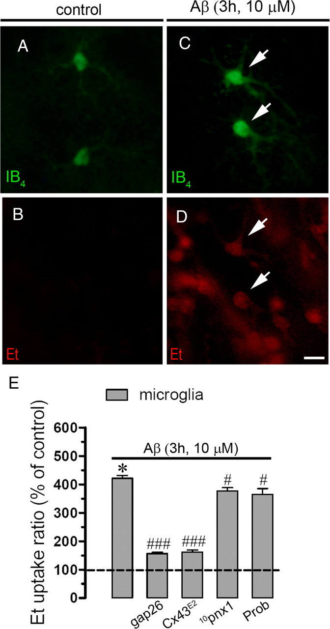 Figure 11.