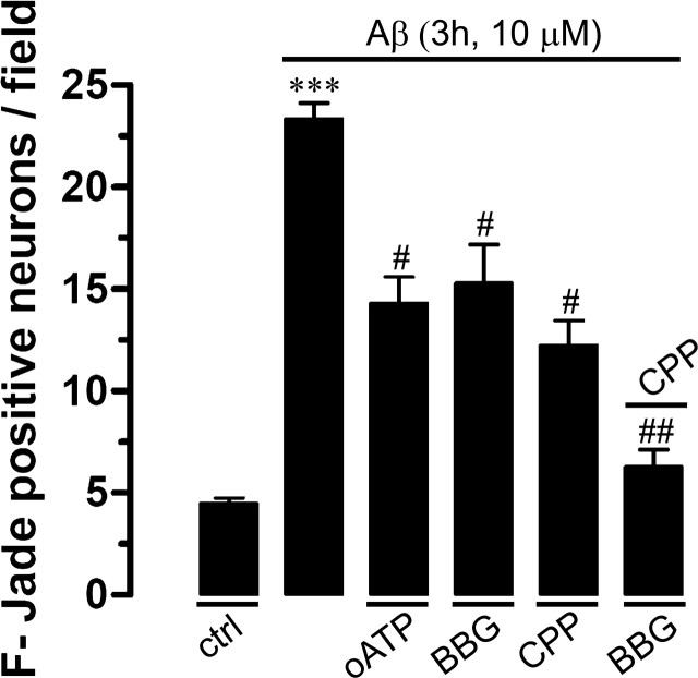 Figure 13.