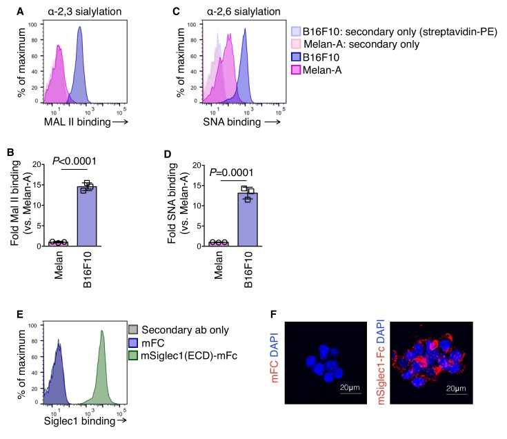 Figure 1—figure supplement 4.