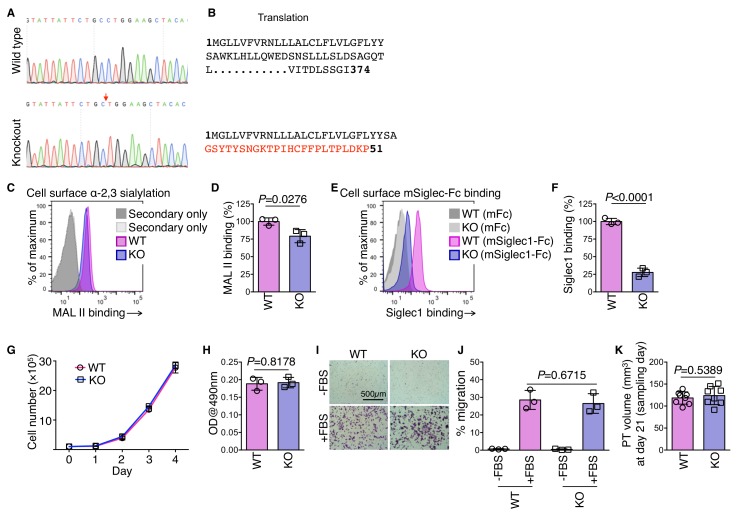 Figure 5—figure supplement 1.