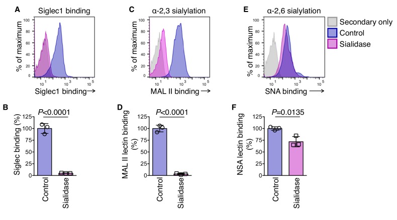 Figure 1—figure supplement 5.