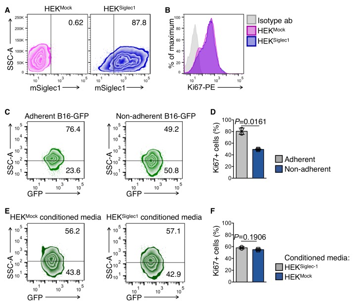 Figure 2—figure supplement 1.