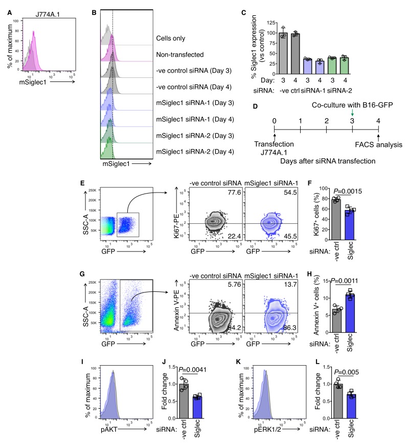 Figure 2—figure supplement 2.