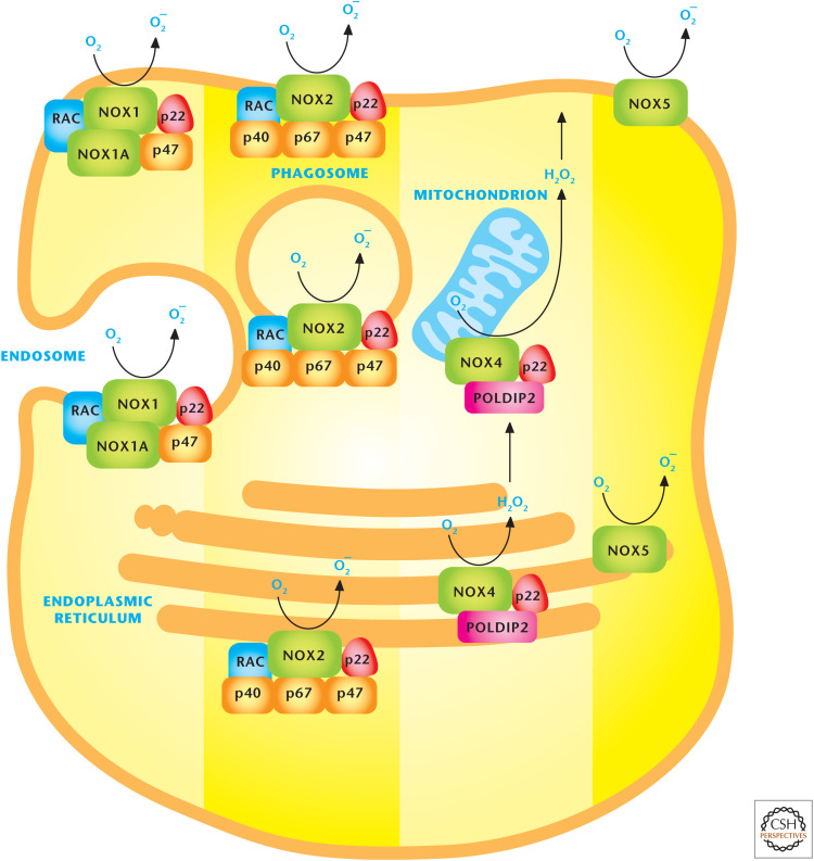 Figure 10.