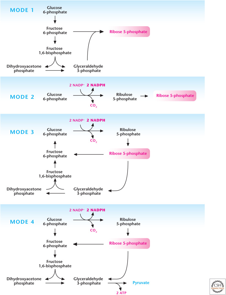 Figure 3.