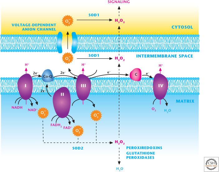 Figure 9.