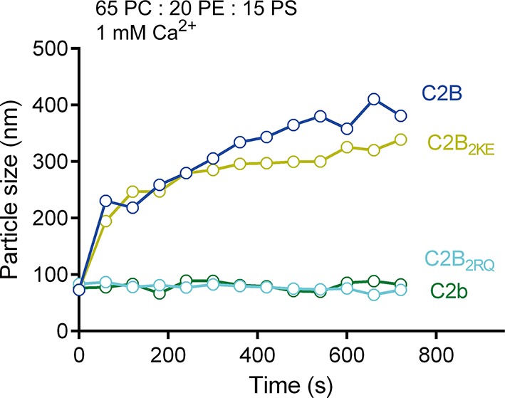 Figure 2—figure supplement 2.