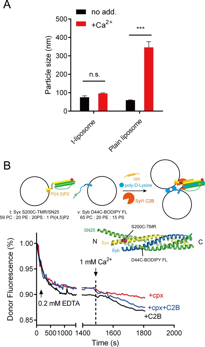 Figure 7—figure supplement 2.