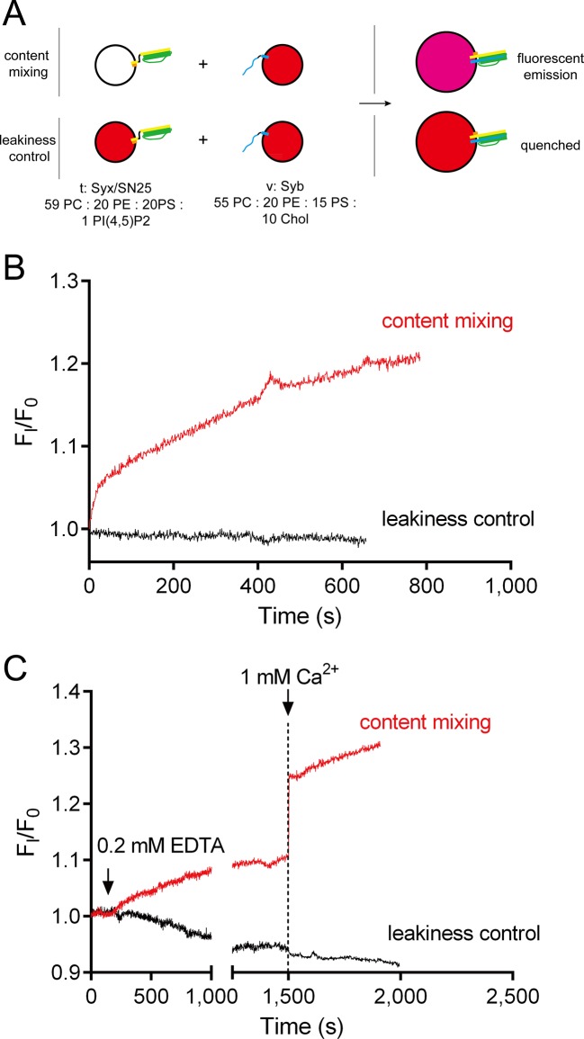 Figure 7—figure supplement 3.