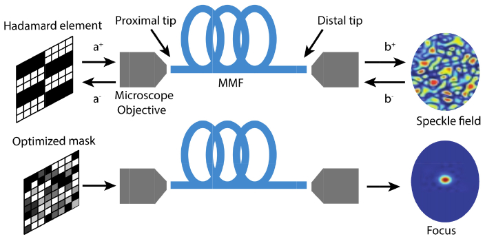 Fig. 1