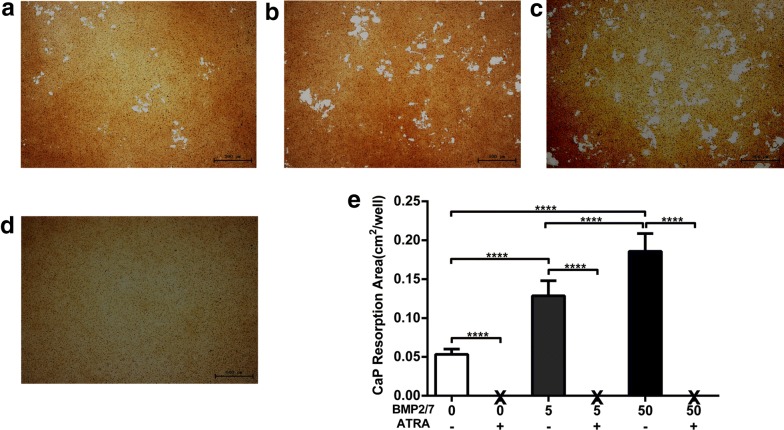 Fig. 6