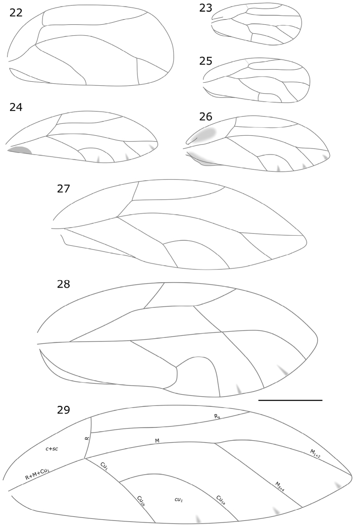 Figures 22–29.