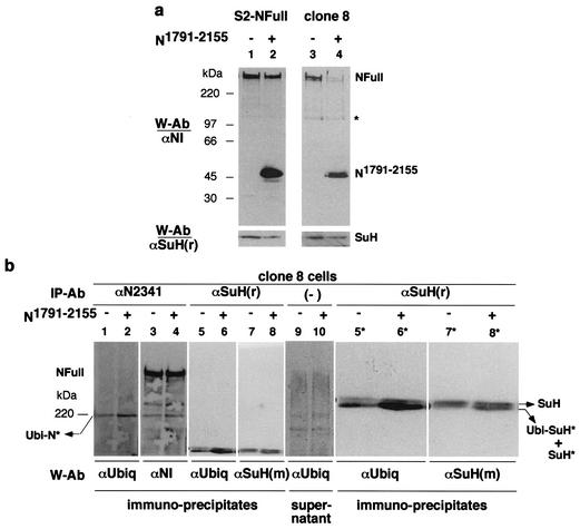 FIG. 8.