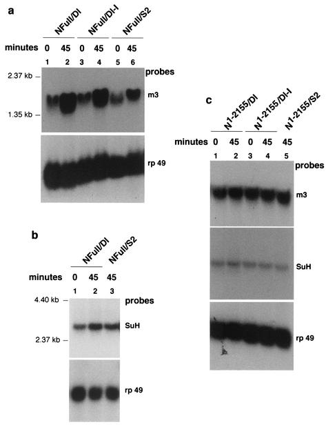 FIG. 7.